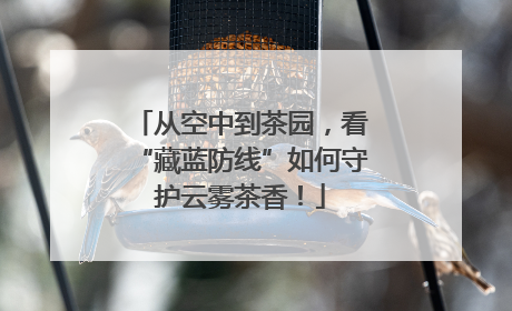 从空中到茶园，看“藏蓝防线”如何守护云雾茶香！