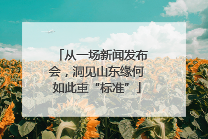 从一场新闻发布会，洞见山东缘何如此重“标准”