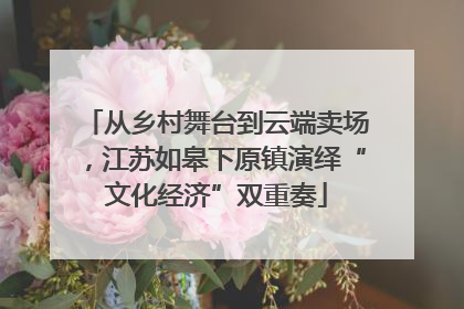 从乡村舞台到云端卖场，江苏如皋下原镇演绎“文化经济”双重奏