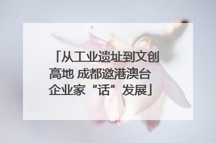 从工业遗址到文创高地 成都邀港澳台企业家“话”发展