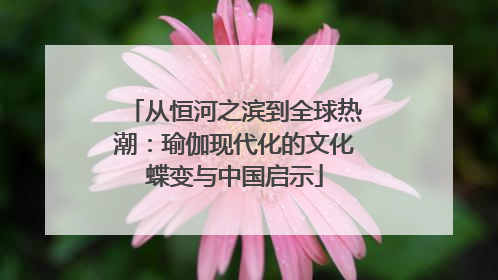 从恒河之滨到全球热潮：瑜伽现代化的文化蝶变与中国启示