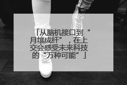 从脑机接口到“月壤成纤”，在上交会感受未来科技的“万种可能”