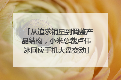 从追求销量到调整产品结构，小米总裁卢伟冰回应手机大盘变动