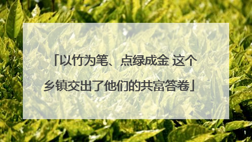 以竹为笔、点绿成金 这个乡镇交出了他们的共富答卷