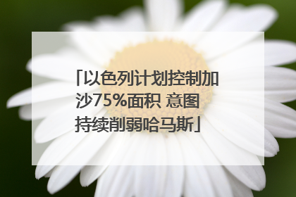 以色列计划控制加沙75%面积 意图持续削弱哈马斯