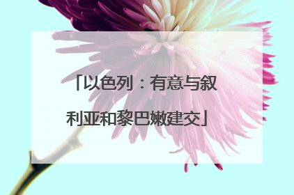 以色列：有意与叙利亚和黎巴嫩建交