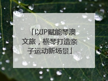 以IP赋能琴澳文旅，横琴打造亲子运动新场景
