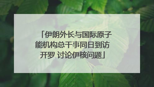 伊朗外长与国际原子能机构总干事同日到访开罗 讨论伊核问题