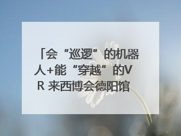 会“巡逻”的机器人+能“穿越”的VR 来西博会德阳馆感受古蜀文明与现代智造的时空对话｜西博视界