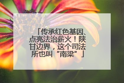 传承红色基因、点亮法治薪火！陕甘边界，这个司法所也叫“南梁”
