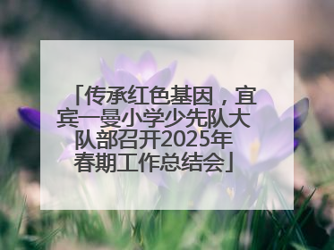 传承红色基因，宜宾一曼小学少先队大队部召开2025年春期工作总结会
