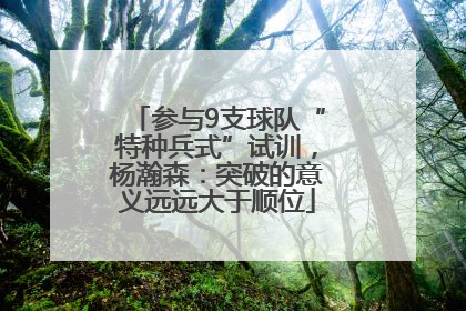 参与9支球队“特种兵式”试训，杨瀚森：突破的意义远远大于顺位