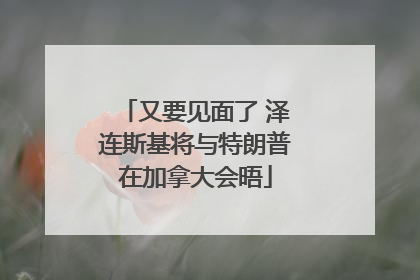 又要见面了 泽连斯基将与特朗普在加拿大会晤