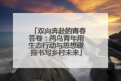 双向奔赴的青春答卷：鸬鸟青年用生态行动与思想碰撞书写乡村未来