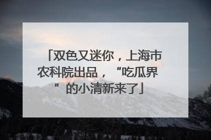 双色又迷你，上海市农科院出品，“吃瓜界”的小清新来了