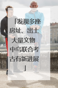 发现多座房址、出土大量文物 中乌联合考古有新进展