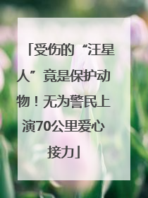 受伤的“汪星人”竟是保护动物！无为警民上演70公里爱心接力