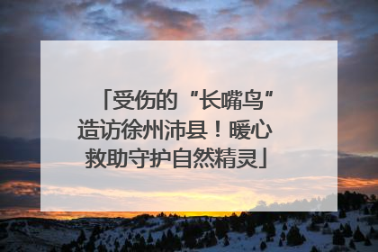 受伤的“长嘴鸟”造访徐州沛县！暖心救助守护自然精灵