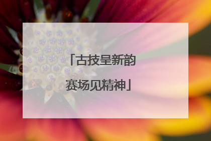 古技呈新韵 赛场见精神