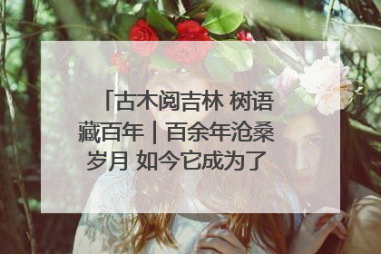 古木阅吉林 树语藏百年｜百余年沧桑岁月 如今它成为了“镇园之宝”