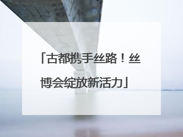 古都携手丝路！丝博会绽放新活力