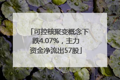 可控核聚变概念下跌4.07%，主力资金净流出57股