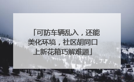 可防车辆乱入，还能美化环境，社区胡同口上新花箱巧解难题