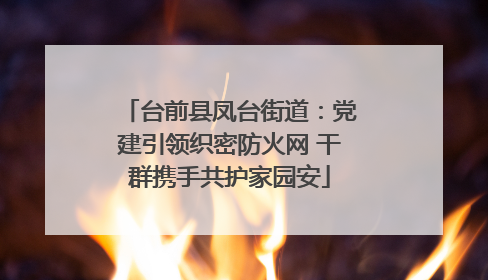 台前县凤台街道：党建引领织密防火网 干群携手共护家园安