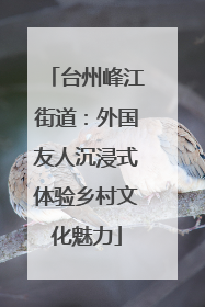 台州峰江街道：外国友人沉浸式体验乡村文化魅力