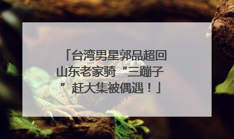 台湾男星郭品超回山东老家骑“三蹦子”赶大集被偶遇！