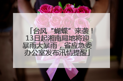台风“蝴蝶”来袭！13日起湘南局地将迎暴雨大暴雨，省应急委办公室发布汛情提醒
