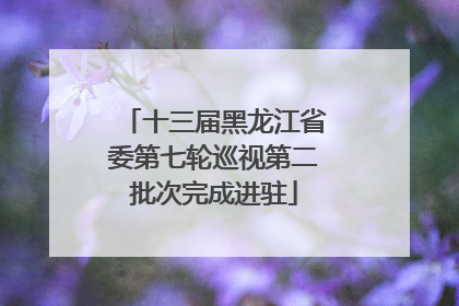 十三届黑龙江省委第七轮巡视第二批次完成进驻