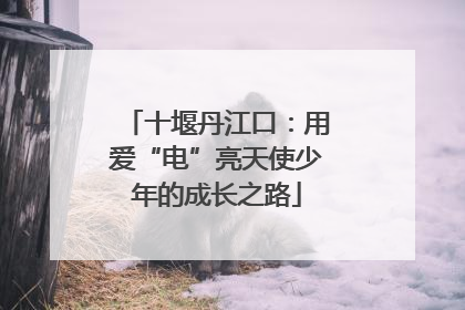 十堰丹江口：用爱“电”亮天使少年的成长之路