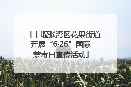 十堰张湾区花果街道开展“6·26”国际禁毒日宣传活动