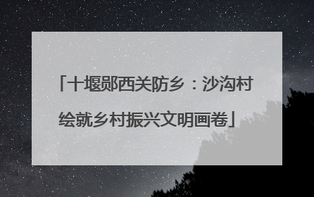 十堰郧西关防乡：沙沟村绘就乡村振兴文明画卷