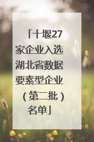 十堰27家企业入选湖北省数据要素型企业（第二批）名单