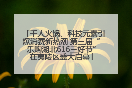 千人火锅、科技元素引爆消费新热潮 第三届“乐购湖北616三好节”在夷陵区盛大启幕