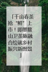 千亩春茶抢“鲜”上市！即墨鳌山卫茶旅融合绘就乡村振兴新图景