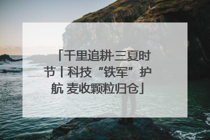 千里追耕·三夏时节丨科技“铁军”护航 麦收颗粒归仓