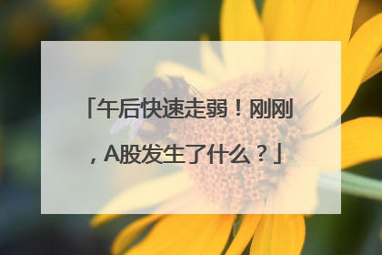 午后快速走弱！刚刚，A股发生了什么？