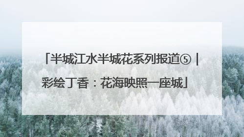 半城江水半城花系列报道⑤｜彩绘丁香：花海映照一座城