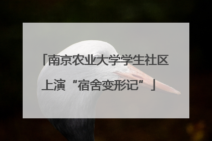 南京农业大学学生社区上演“宿舍变形记”