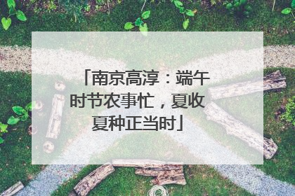 南京高淳：端午时节农事忙，夏收夏种正当时