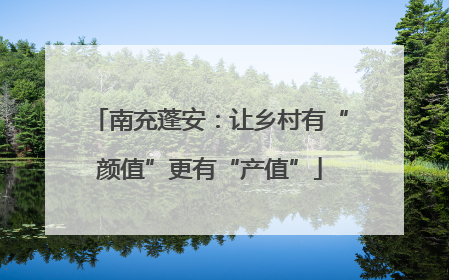 南充蓬安：让乡村有“颜值”更有“产值”