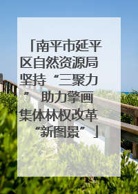 南平市延平区自然资源局坚持“三聚力” 助力擎画集体林权改革“新图景”