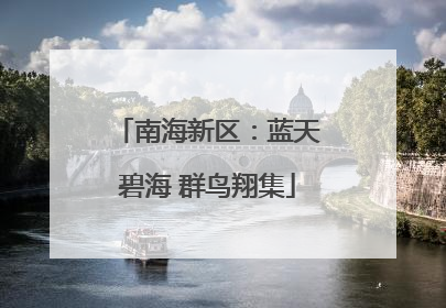 南海新区：蓝天碧海 群鸟翔集