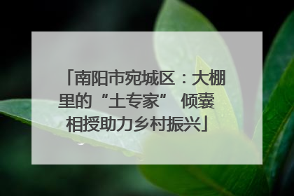 南阳市宛城区：大棚里的“土专家” 倾囊相授助力乡村振兴