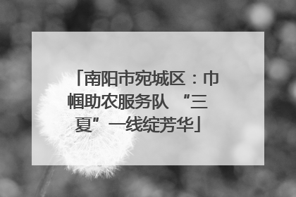 南阳市宛城区：巾帼助农服务队 “三夏”一线绽芳华