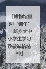 博物馆里迎“端午”！新乡大中小学生学习致敬诚信精神