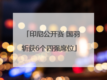 印尼公开赛 国羽斩获6个四强席位